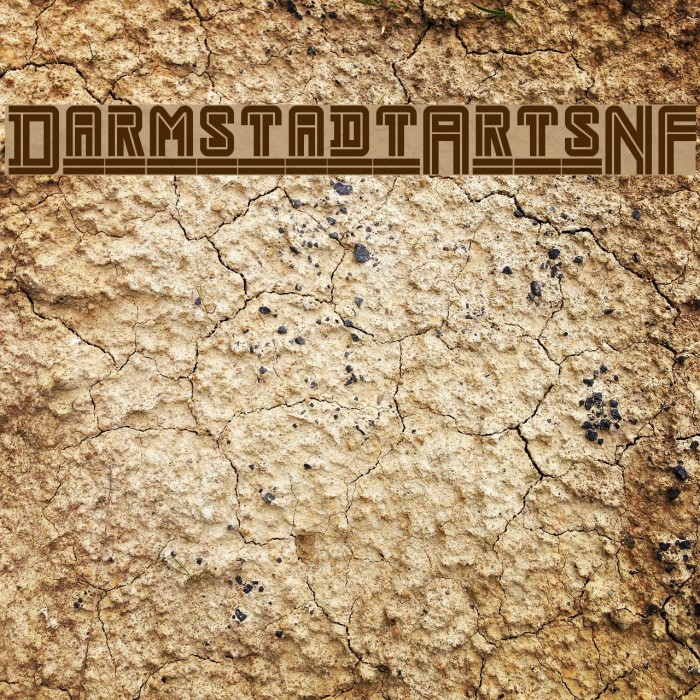 DarmstadtArtsNF Font examples