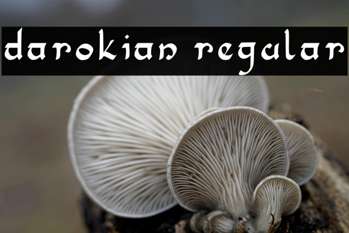 Darokian Regular Example 1