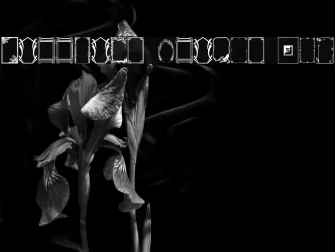 Darrians Frames Two Schriftart examples