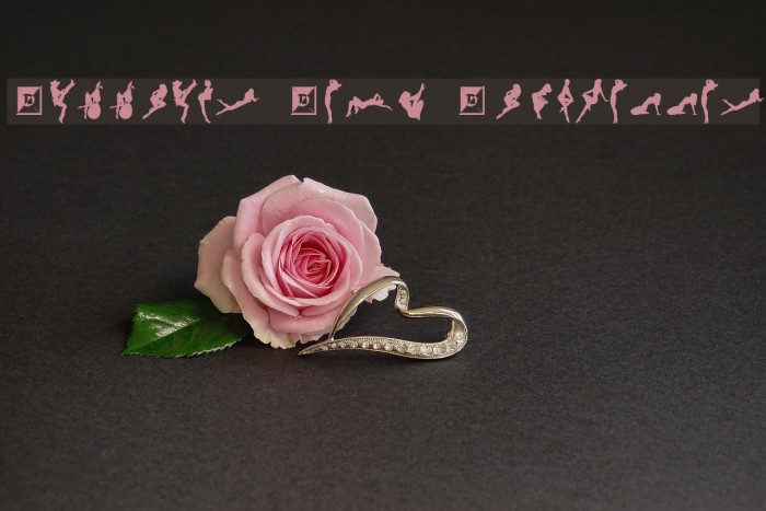 Darrians Sexy Silouettes Font examples