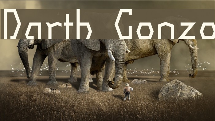 Darth Gonzo Example 2