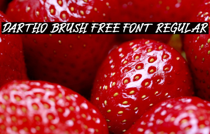 Dartho Brush Free Font Regular Example 1
