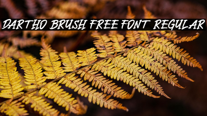Dartho Brush Free Font Regular Example 3