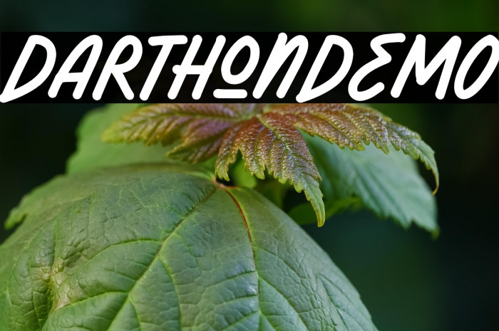 DarthonDEMO Example 1