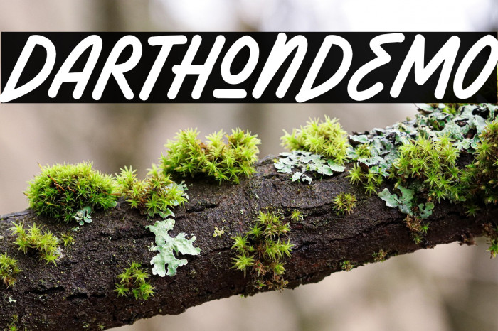 DarthonDEMO Example 3