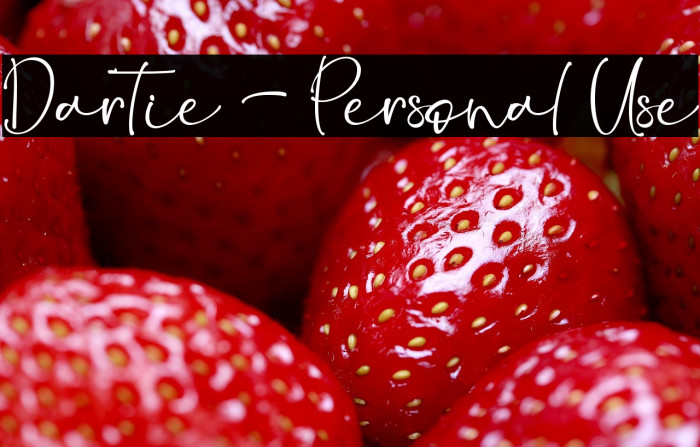 Dartie - Personal Use Example 1