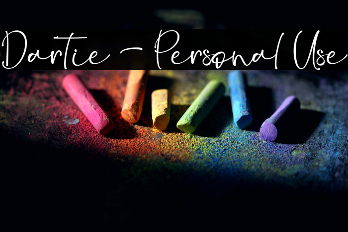 Dartie - Personal Use Example 3