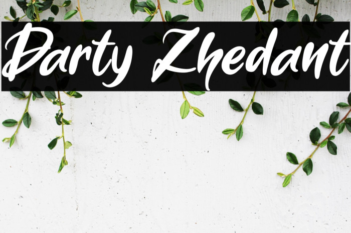 Darty Zhedant Example 3