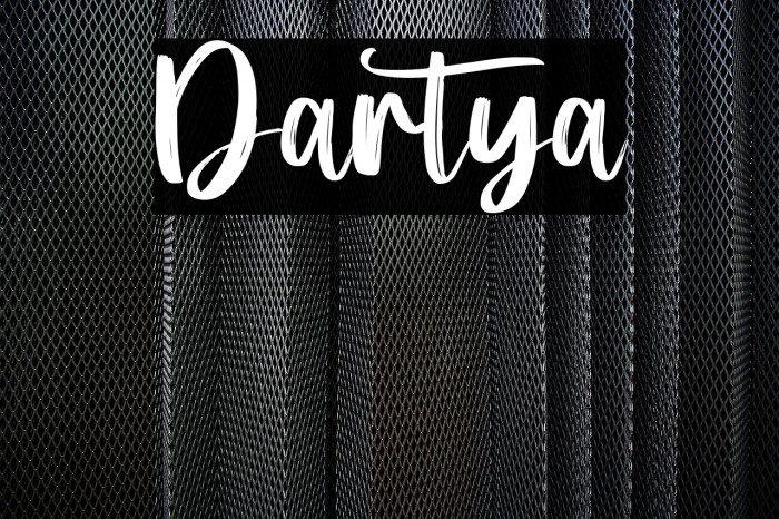 Dartya Example 2