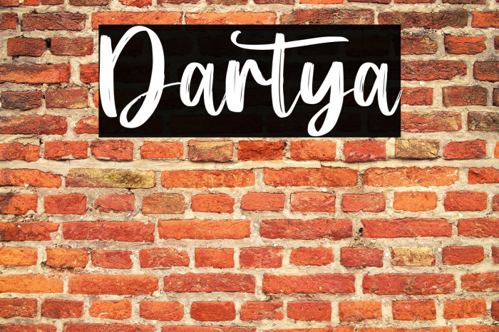 Dartya Example 3