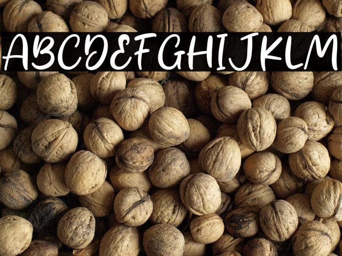 Darwin Smith  Example 1