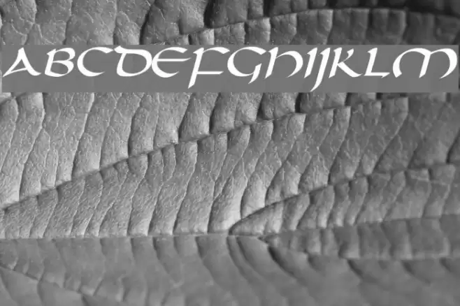 Darwycke Regular Font examples