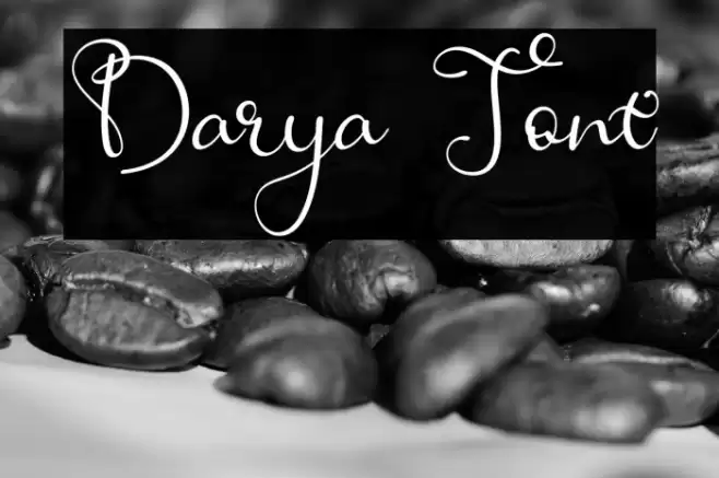 Darya Font examples