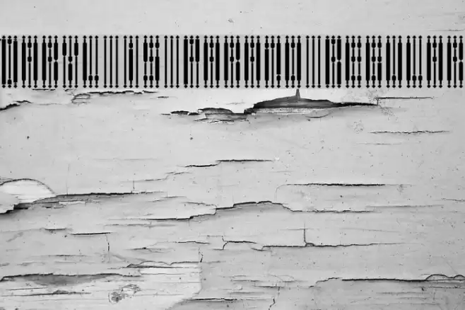 Daryl is Parano Regular Font examples