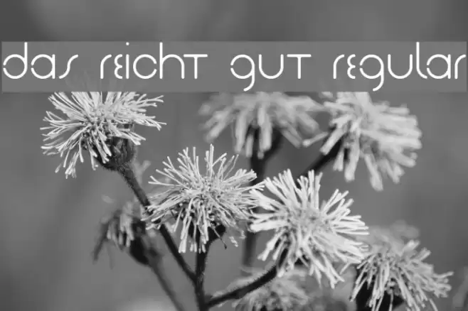 Das Reicht Gut Regular フォント examples