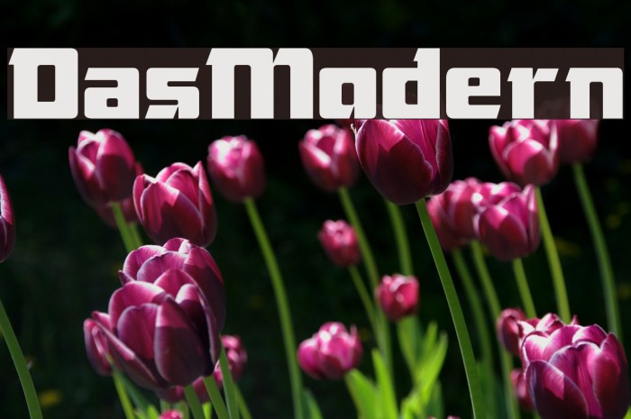DasModern Font examples