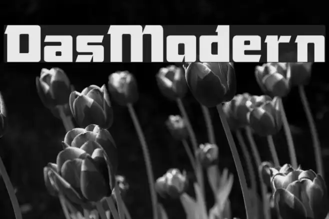 DasModern Example 3