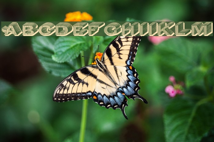 DasRiese Shadow Font examples