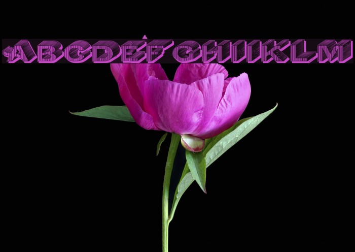DasRiese Shadow Font examples