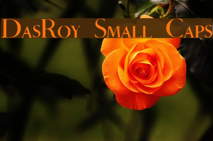 DasRoy Small Caps Example 2