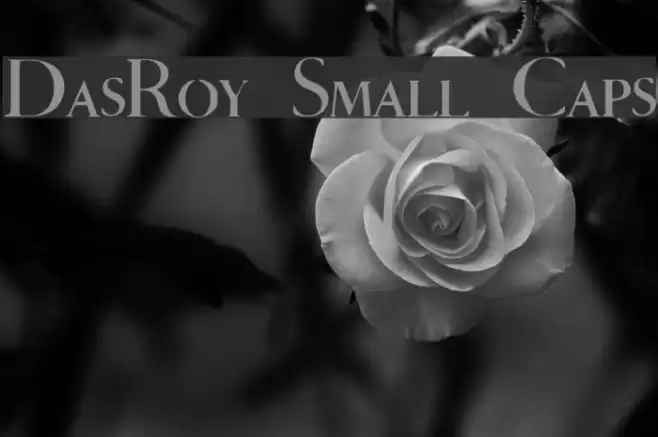 DasRoy Small Caps Font examples