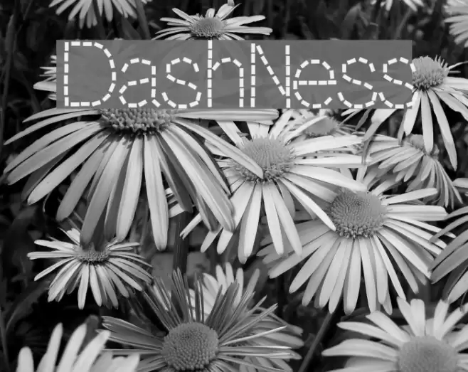 DashNess Font examples