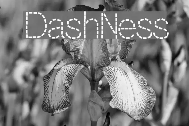 DashNess Font examples