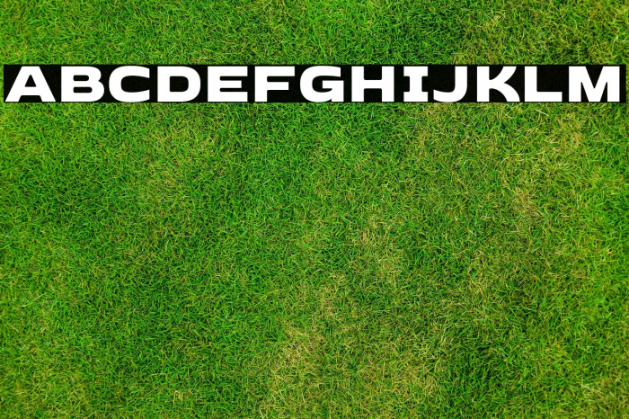 Dashboard Regular Example 1