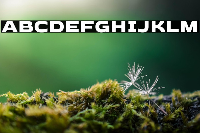 Dashboard Regular Example 2