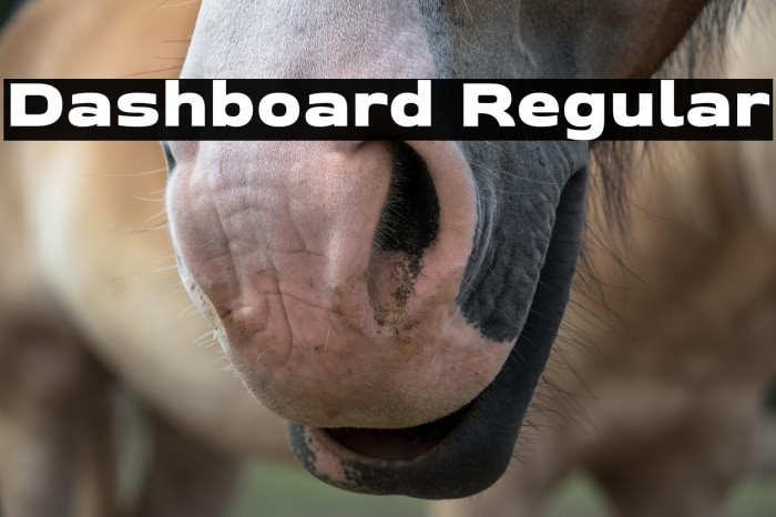 Dashboard Regular Example 1