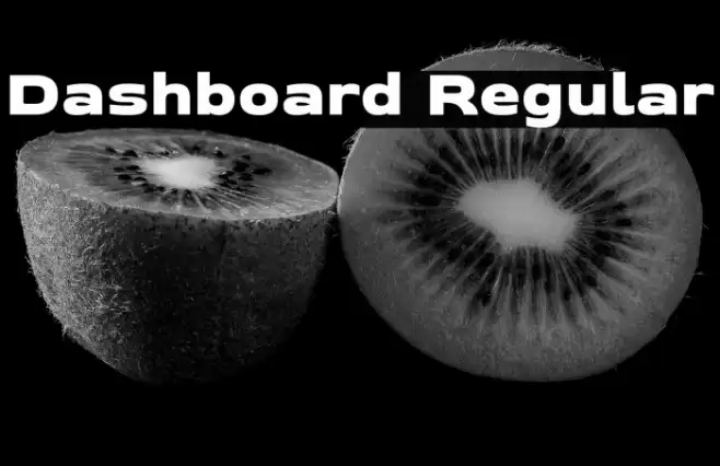 Dashboard Regular Font examples
