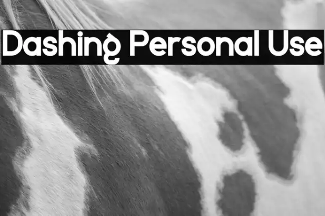 Dashing Personal Use Example 1