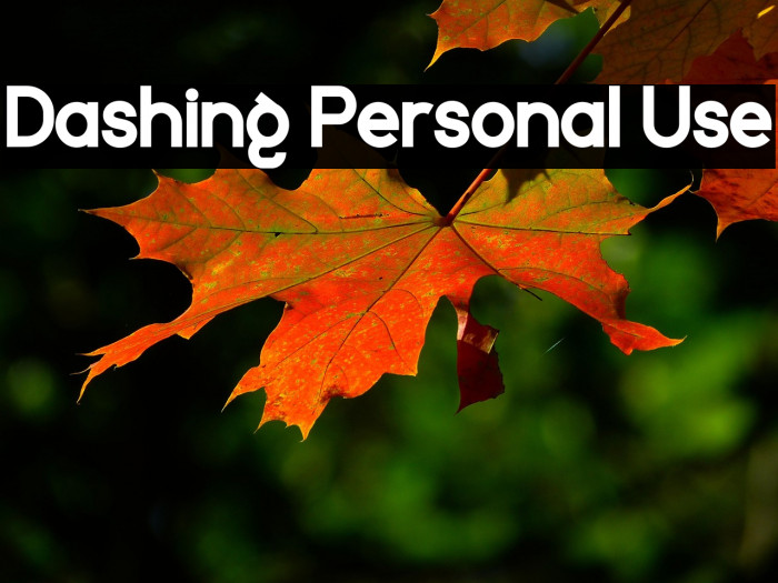 Dashing Personal Use Example 2