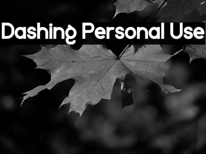 Dashing Personal Use Example 2