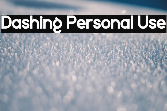 Dashing Personal Use Example 3