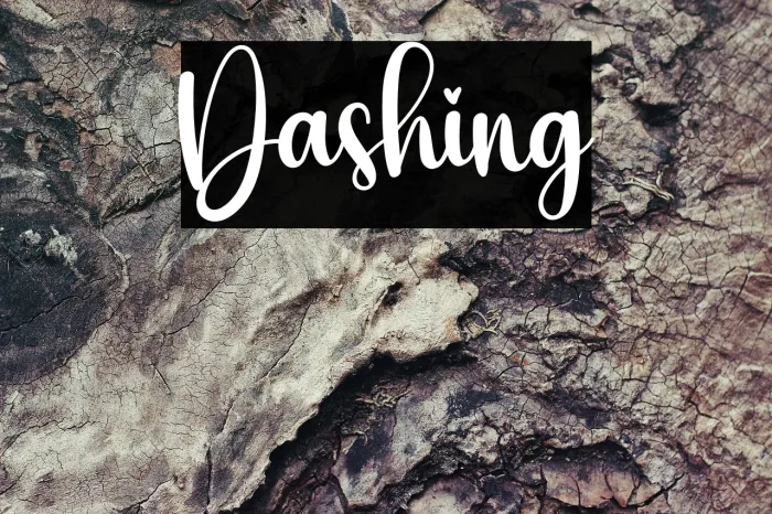 Dashing Example 2