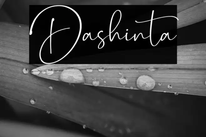 Dashinta Font examples