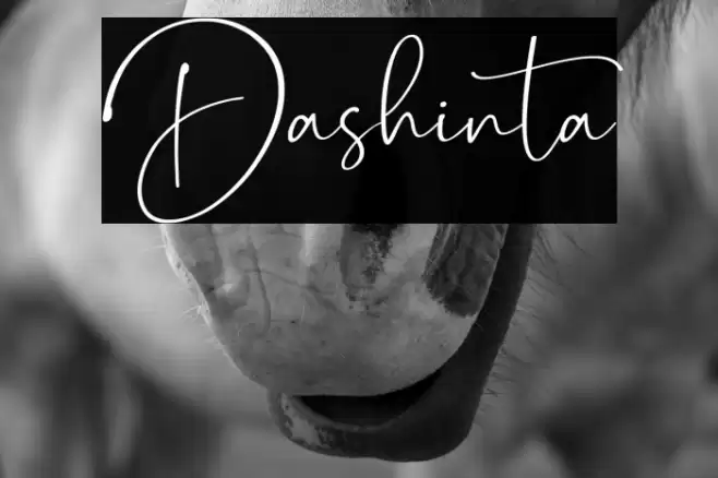 Dashinta Font examples