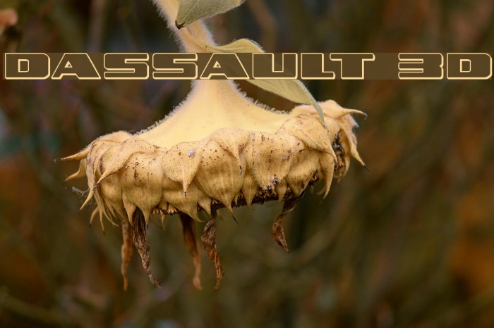 Dassault 3D Example 1