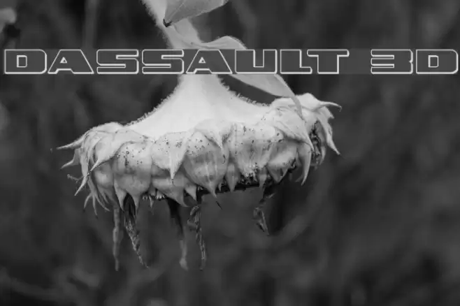 Dassault 3D Font examples