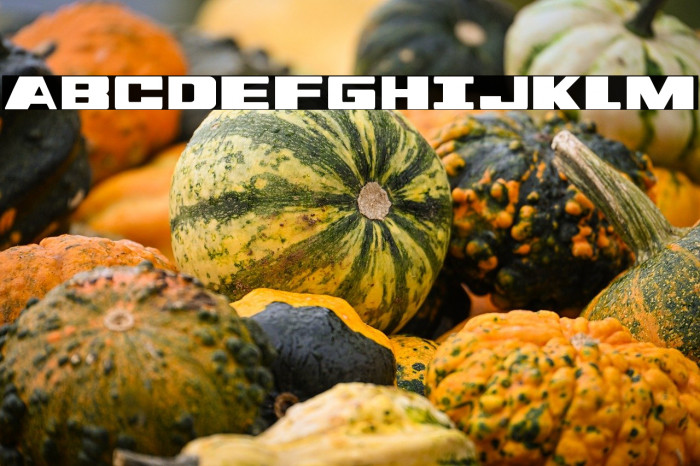 Dassault Condensed Example 2