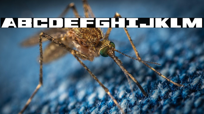 Dassault Condensed Example 3