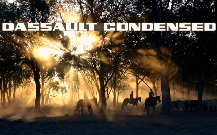 Dassault Condensed Font examples