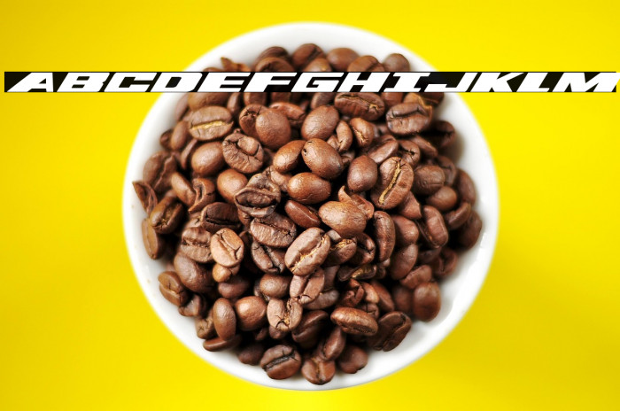 Dassault Expanded Italic Example 1