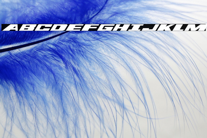 Dassault Expanded Italic Example 3