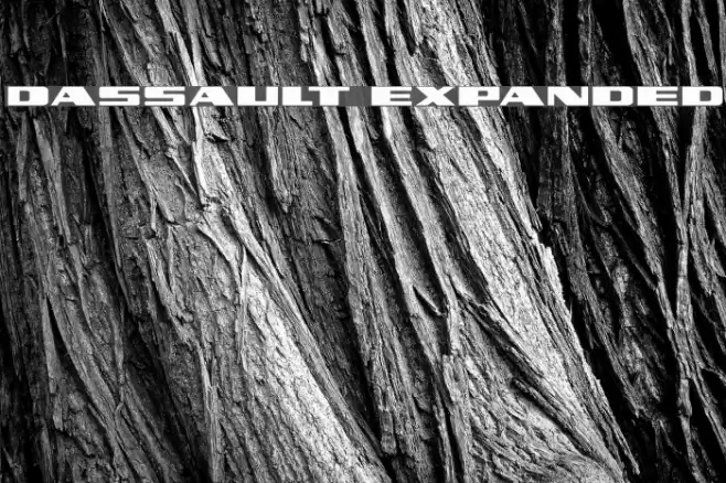 Dassault Expanded Font examples