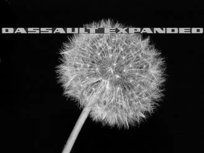Dassault Expanded Font examples