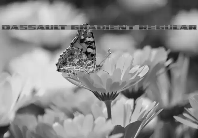 Dassault Gradient Regular Font examples