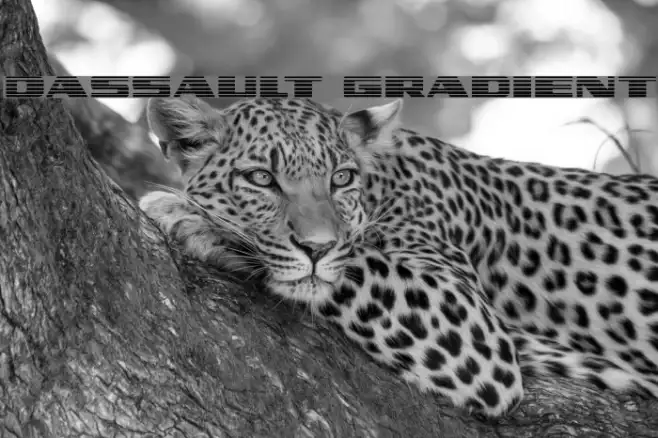 Dassault Gradient Example 3