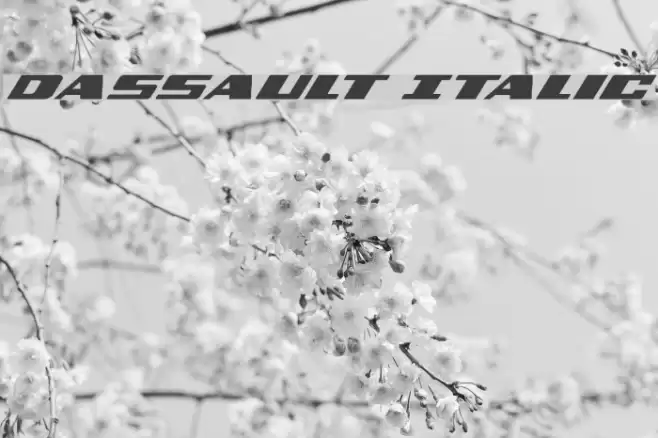 Dassault Italic Font examples